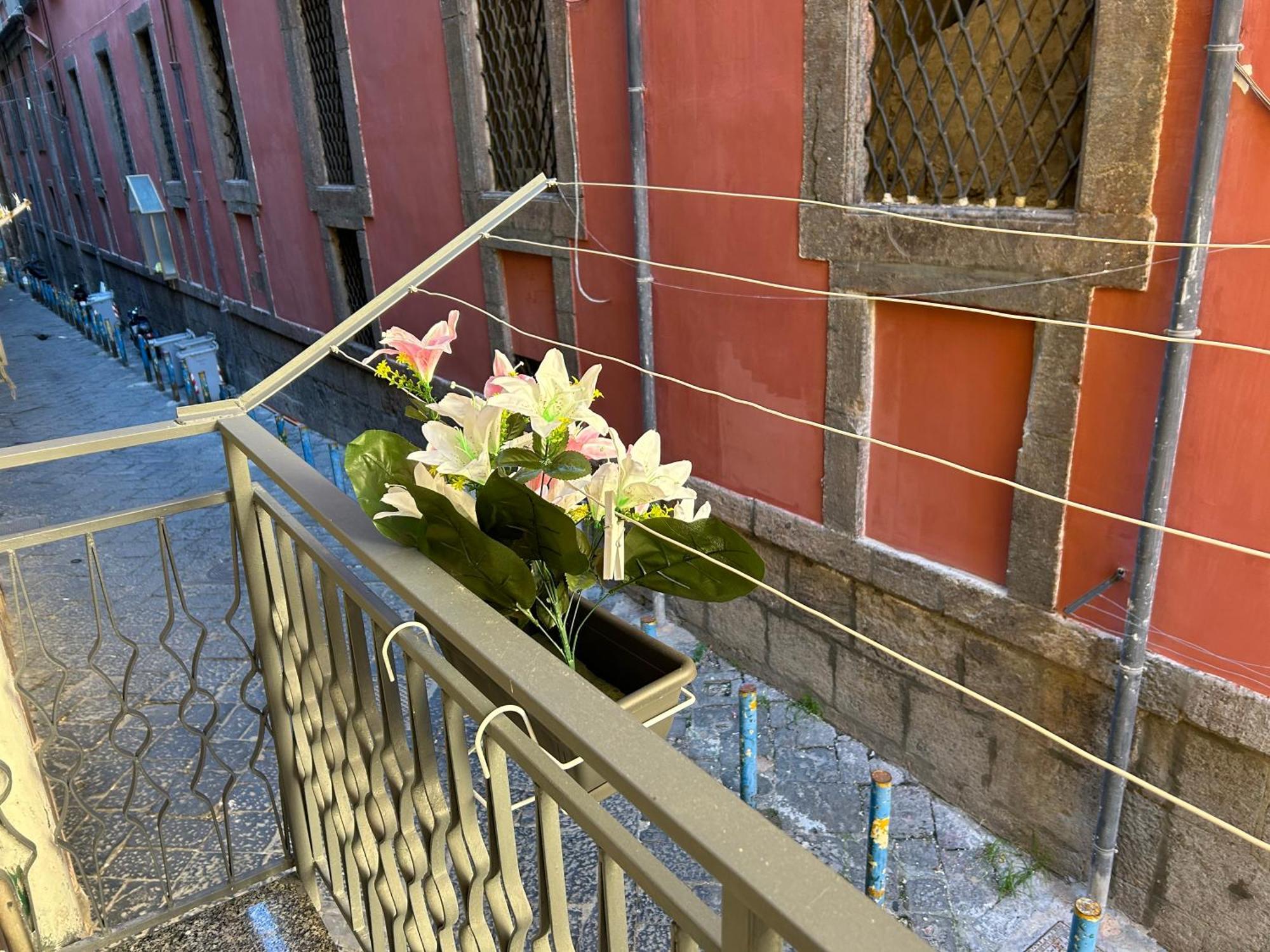 Appartement House Diva *
