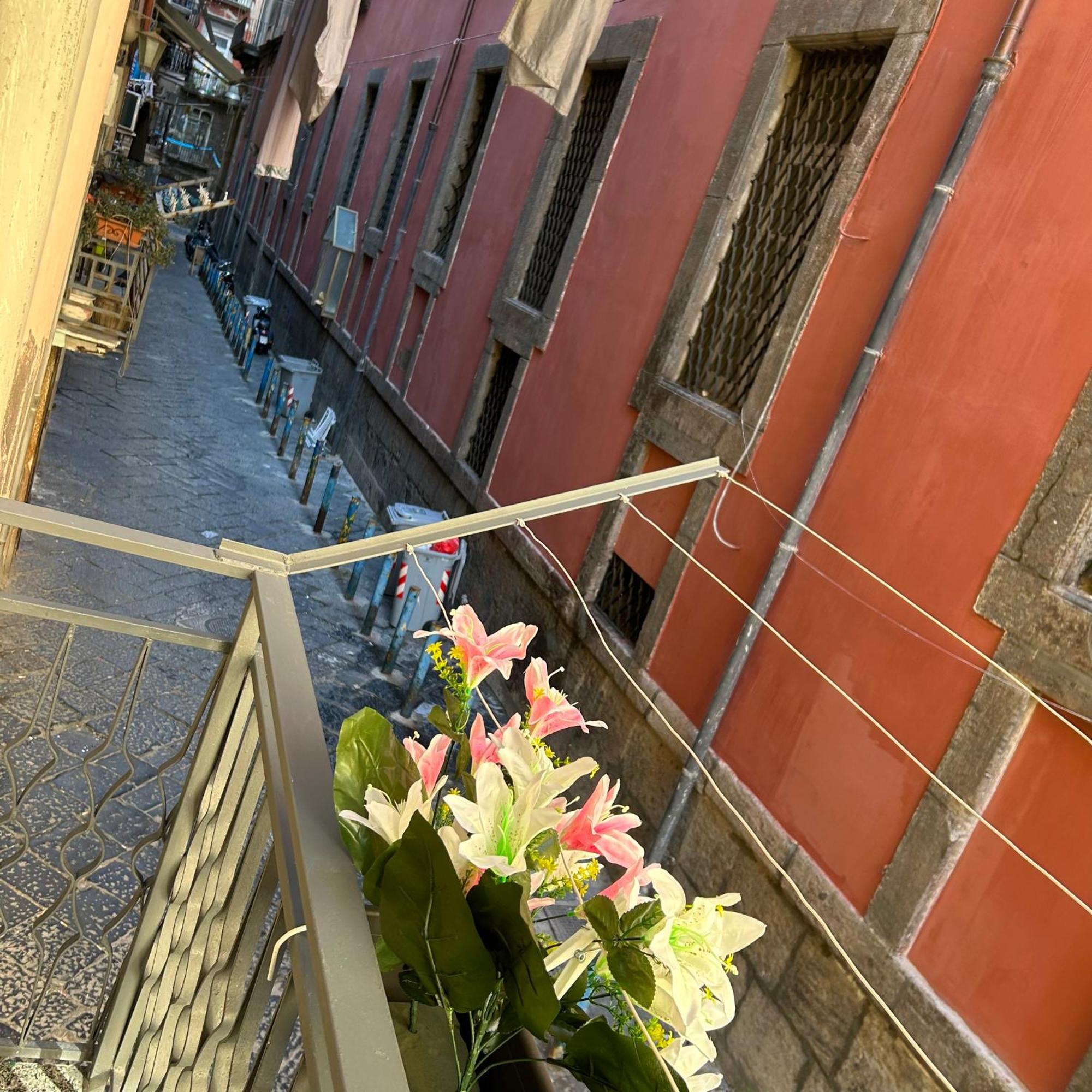 Appartement House Diva